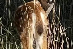 7813 Upper Applegate Rd, Jacksonville, OR 97530 - Photo 10