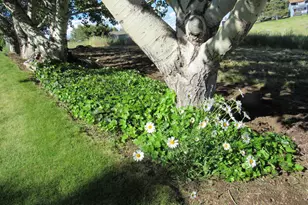 34219 Glen Dr, Chiloquin, OR 97624 - Photo 26