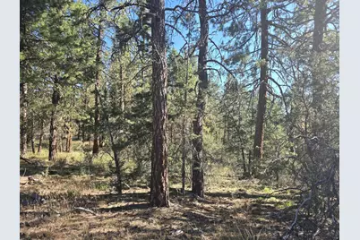 0 Night Owl Drive #26, Bonanza, OR 97623 - Photo 8