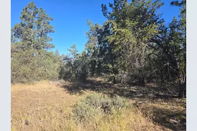0 Night Owl Drive #26, Bonanza, OR 97623 - Photo 6