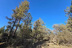 0 Night Owl Dr, Bonanza, OR 97623 - Photo 1