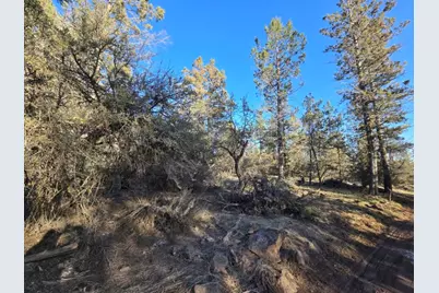 0 Night Owl Drive #26, Bonanza, OR 97623 - Photo 2