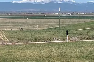 2660 SW Highland Ln, Culver, OR 97734 - Photo 6