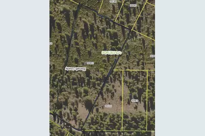 Lot 2 Tiger Lane, Bonanza, OR 97623 - Photo 4