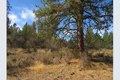 Lot 2 Tiger Lane, Bonanza, OR 97623 - Photo 2