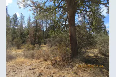Lot 2 Tiger Lane, Bonanza, OR 97623 - Photo 10