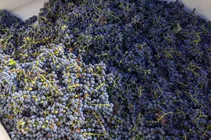 2651 N Main St, Prineville, OR 97754 - Photo 54