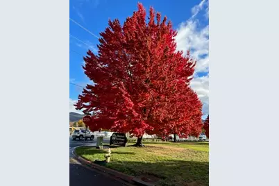 333 Mountain View Drive #165, Talent, OR 97540 - Photo 16