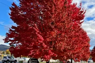 333 Mountain View Dr, Talent, OR 97540 - Photo 16