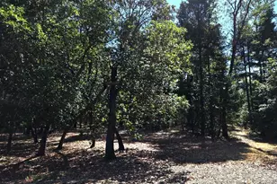 4180 Takilma Rd, Cave Junction, OR 97523 - Photo 36