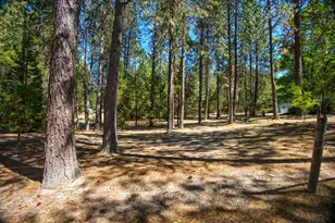 291 Pyle Dr, Grants Pass, OR 97527 - Photo 28