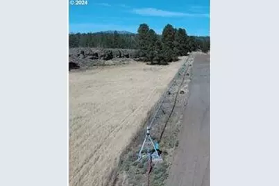 29951 Oregon Pines Road, Beatty, OR 97621 - Photo 20