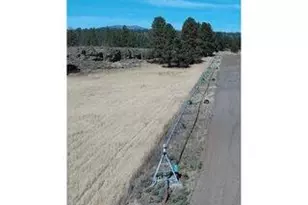 29951 Oregon Pines Rd, Beatty, OR 97621 - Photo 20