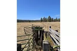 29951 Oregon Pines Rd, Beatty, OR 97621 - Photo 46