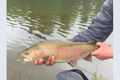 29951 Oregon Pines Road, Beatty, OR 97621 - Photo 18