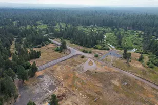 51590 Dorrance Meadow Rd, La Pine, OR 97739 - Photo 1