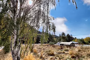 26691 Hwy 62, Trail, OR 97541 - Photo 6