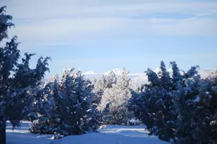 5459 S E Pawnee Loop, Prineville, OR 97754 - Photo 46