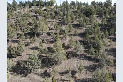 4008 Patterson Drive, Canyon City, OR 97820 - Photo 12