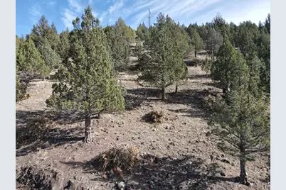 4008 Patterson Drive, Canyon City, OR 97820 - Photo 16