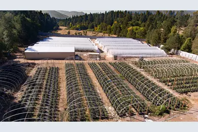 1801 Davis Creek Road, Selma, OR 97538 - Photo 2