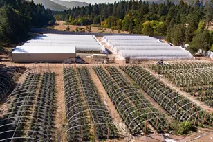 1801 Davis Creek Rd, Selma, OR 97538 - Photo 2