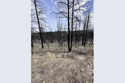 Wren Dr #Lot 11, Bonanza, OR 97623 - Photo 4