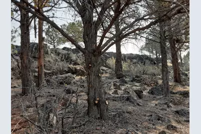 30442 Rim Drive, Chiloquin, OR 97624 - Photo 10