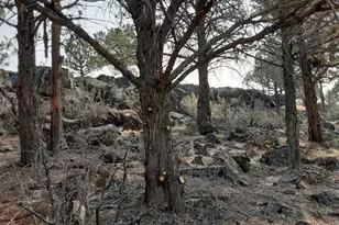 30442 Rim Dr, Chiloquin, OR 97624 - Photo 10