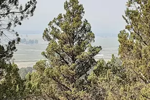 30442 Rim Dr, Chiloquin, OR 97624 - Photo 8