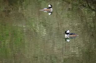 110 NE Thousand Oaks Dr, Corvallis, OR 97330 - Photo 28