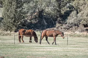 11698 Pinedale Ln, Terrebonne, OR 97760 - Photo 86