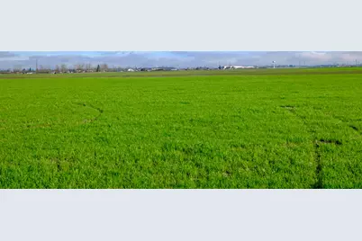0 Milliron Road, Junction City, OR 97448 - Photo 22