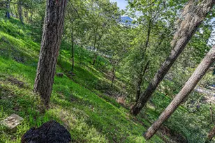 535 Scenic Dr, Jacksonville, OR 97530 - Photo 60