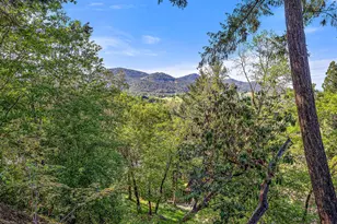 535 Scenic Dr, Jacksonville, OR 97530 - Photo 4