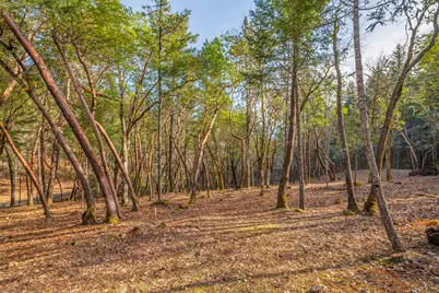 1224 W Jones Creek Road #Lot 2, Grants Pass, OR 97526 - Photo 4