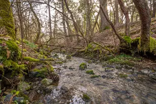 1224 W Jones Creek Rd, Grants Pass, OR 97526 - Photo 1