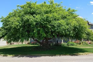 11251 Crystal Springs Rd, Klamath Falls, OR 97603 - Photo 58