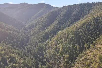 Coleman Cr Road, Phoenix, OR 97535 - Photo 8