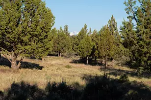 8823 NW Teater Ave, Terrebonne, OR 97760 - Photo 66