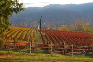 1320 N Mountain Ave, Ashland, OR 97520 - Photo 16