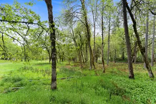 10517 Lower River Rd, Grants Pass, OR 97526 - Photo 26