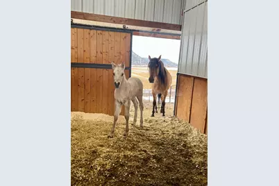 2250 S Main Street, Prineville, OR 97754 - Photo 54