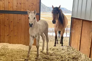 2250 S Main St, Prineville, OR 97754 - Photo 54