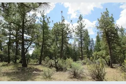 0 Elde Street #24, Chiloquin, OR 97624 - Photo 1