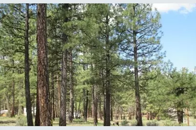 0 Elde Street #24, Chiloquin, OR 97624 - Photo 2