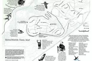 1205 Vine Maple Dr, Klamath Falls, OR 97601 - Photo 6