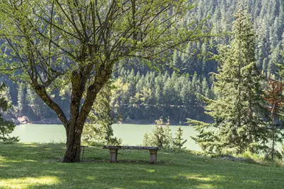 49867 Hills Creek Road, Oakridge, OR 97463 - Photo 54