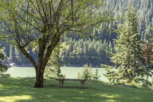 49867 Hills Creek Rd, Oakridge, OR 97463 - Photo 54