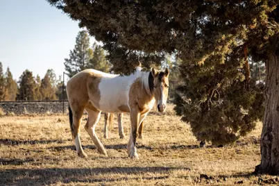 22860 Bliss Road, Sprague River, OR 97639 - Photo 48